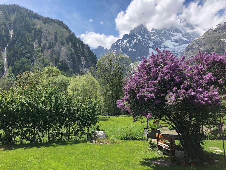 Appartamenti Vista Monte Bianco Courmayeur-Entreves Eksteriør billede